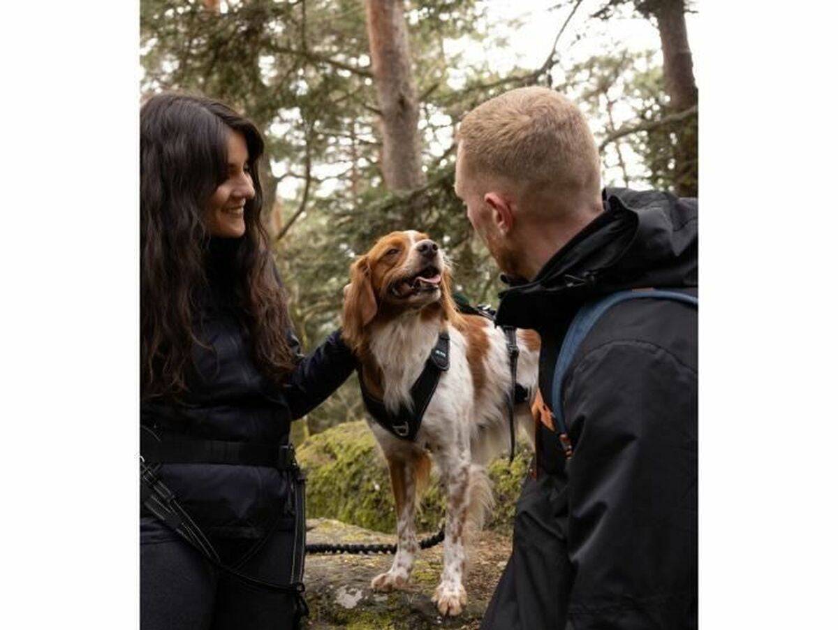 V6H19B9BD0B6E62F2C7F132AA7B8984ADF1R5293645P4