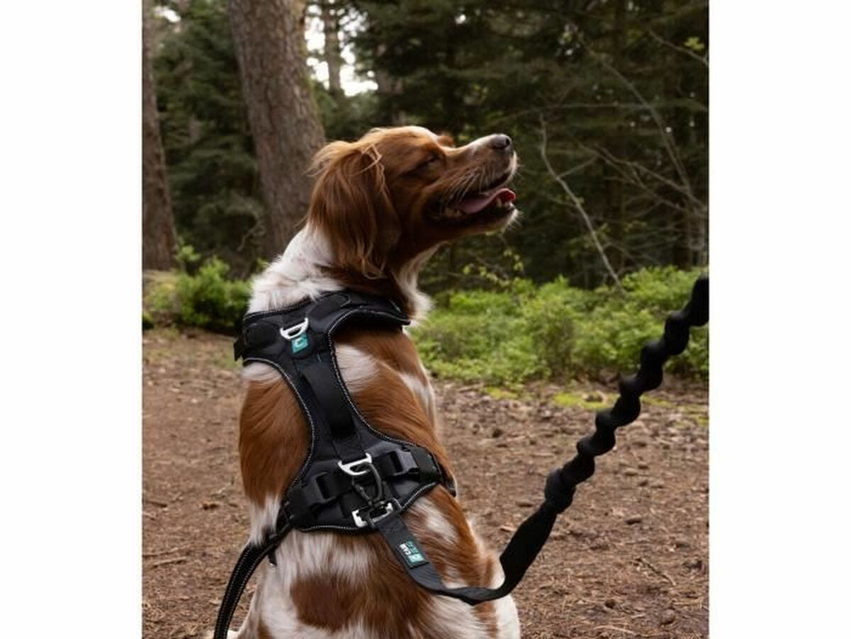 V6H51165D02AE30CD327805C496EEB34280R5293647P6