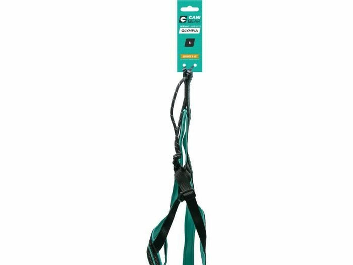 V6H289EFF4F668038B8F93EA8D6F10974E6R5293604P1