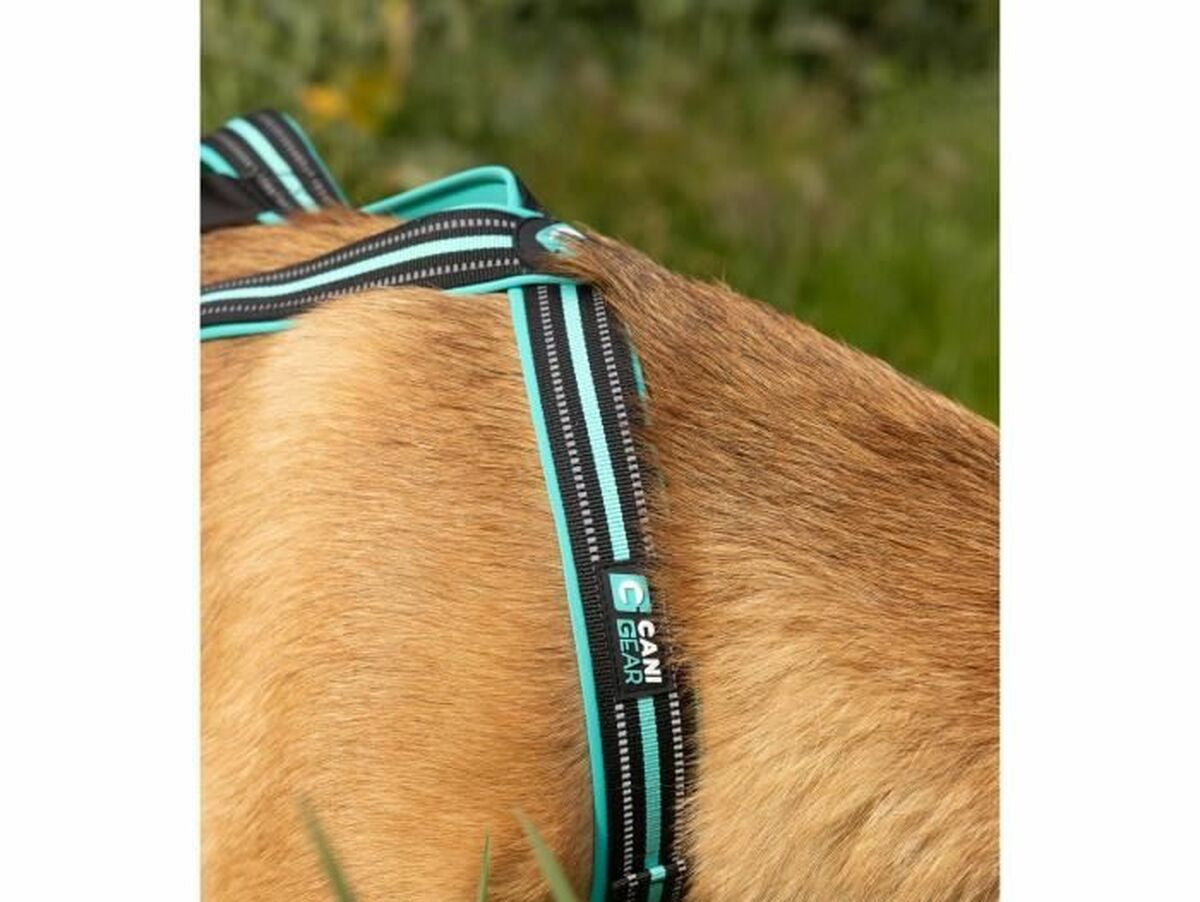 V6H9943CA89A1D4253F5352252D4E0091F2R5293614P6