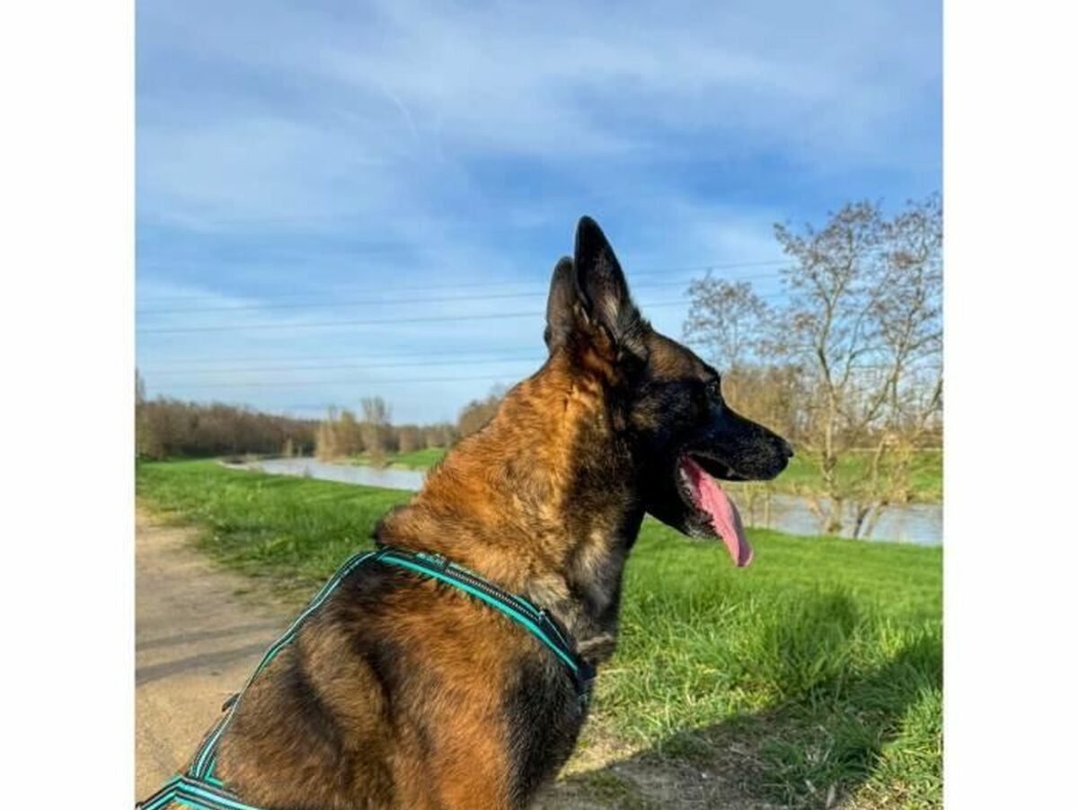 V6H143F0E1326EC9819536184D7AC36EA29R5293625P5