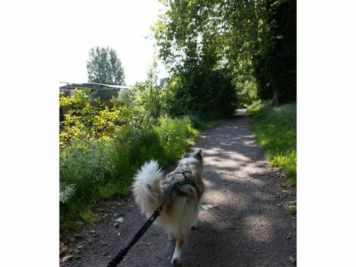 V5HE202529C3A3001DA18B48454FD087EBAR5776740P4