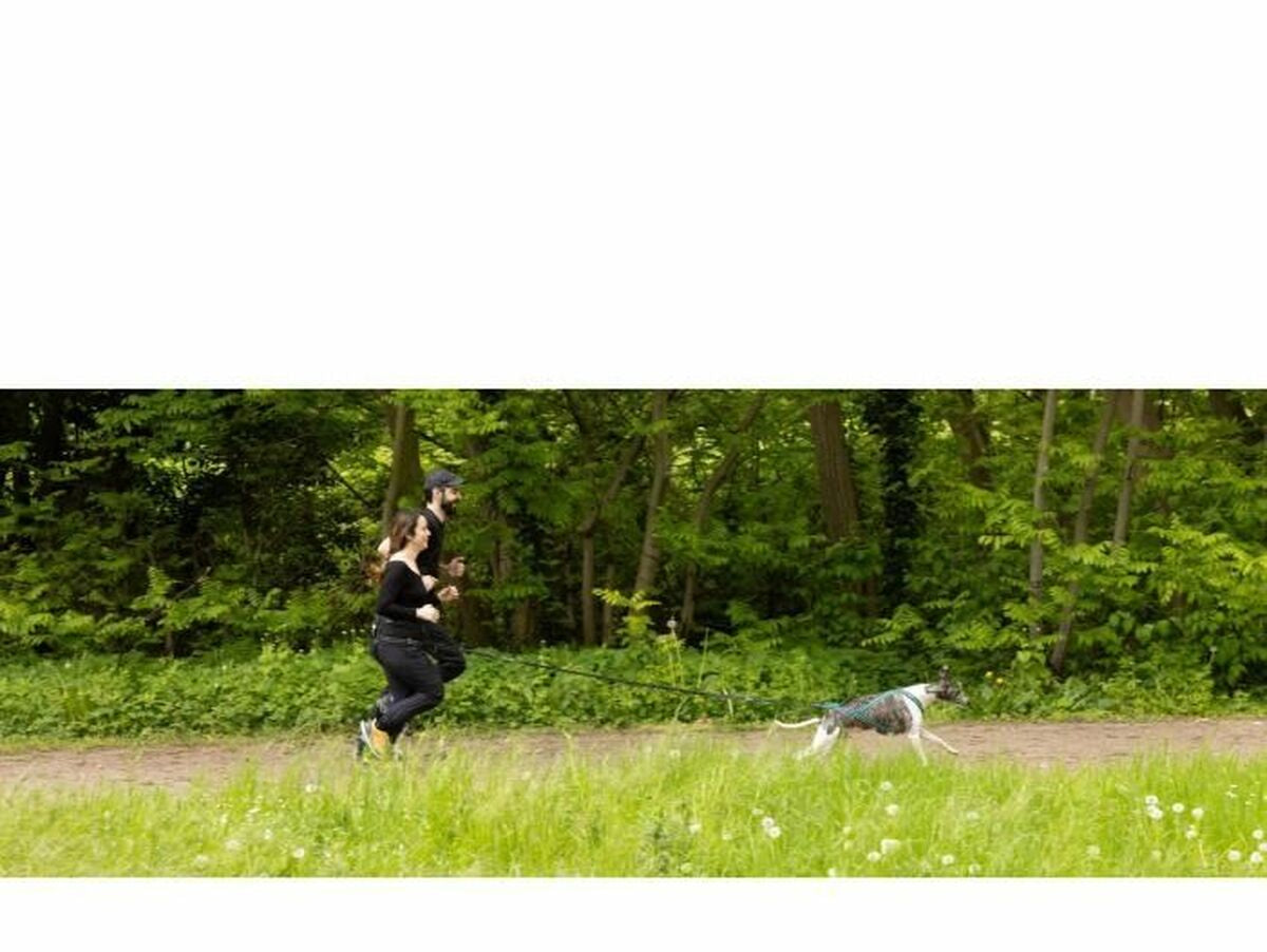 V5HE089BD9D61F3CEE956B8AEC7D9A1A811R5776747P6