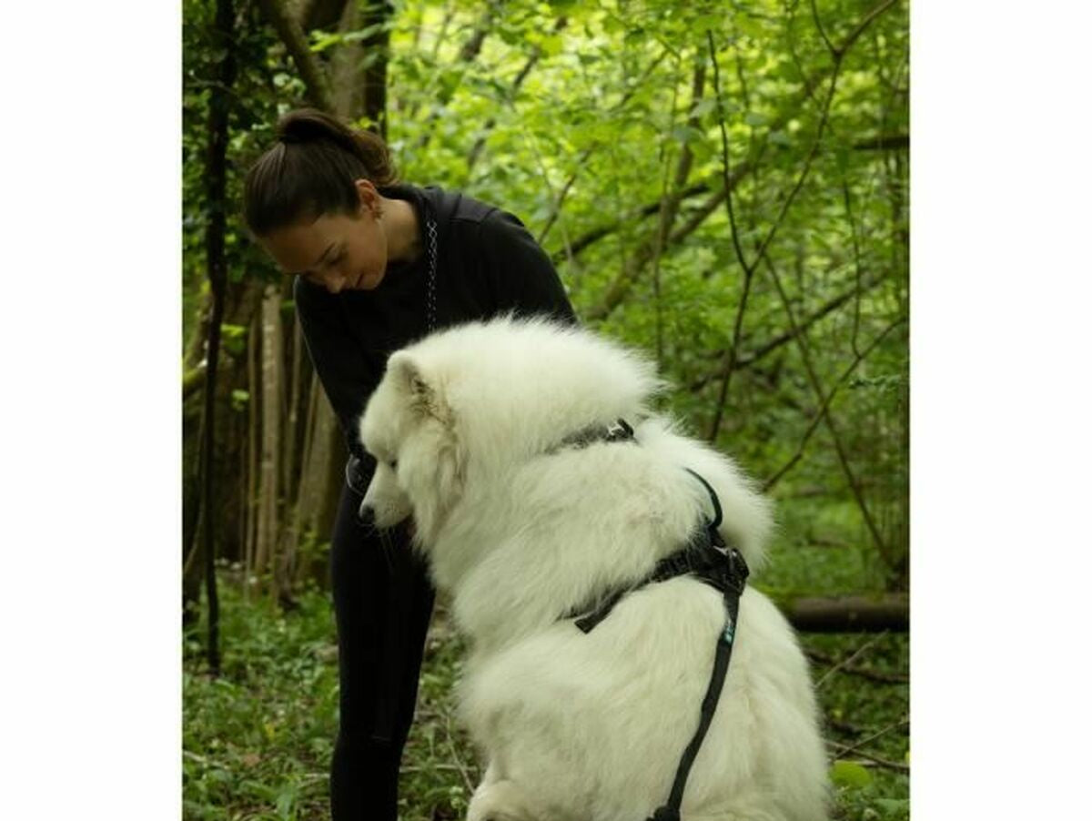 V7HA3BAAC58F22FD00FBE68621A83BFEBB1R5293599P5