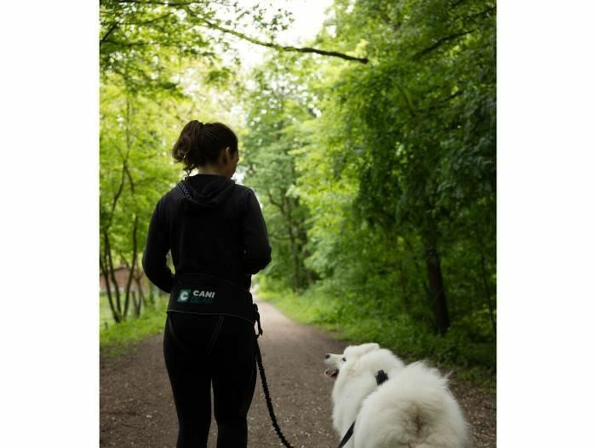 V4HD0282D80A0560D5B555EBCD9728412AAR5293634P4