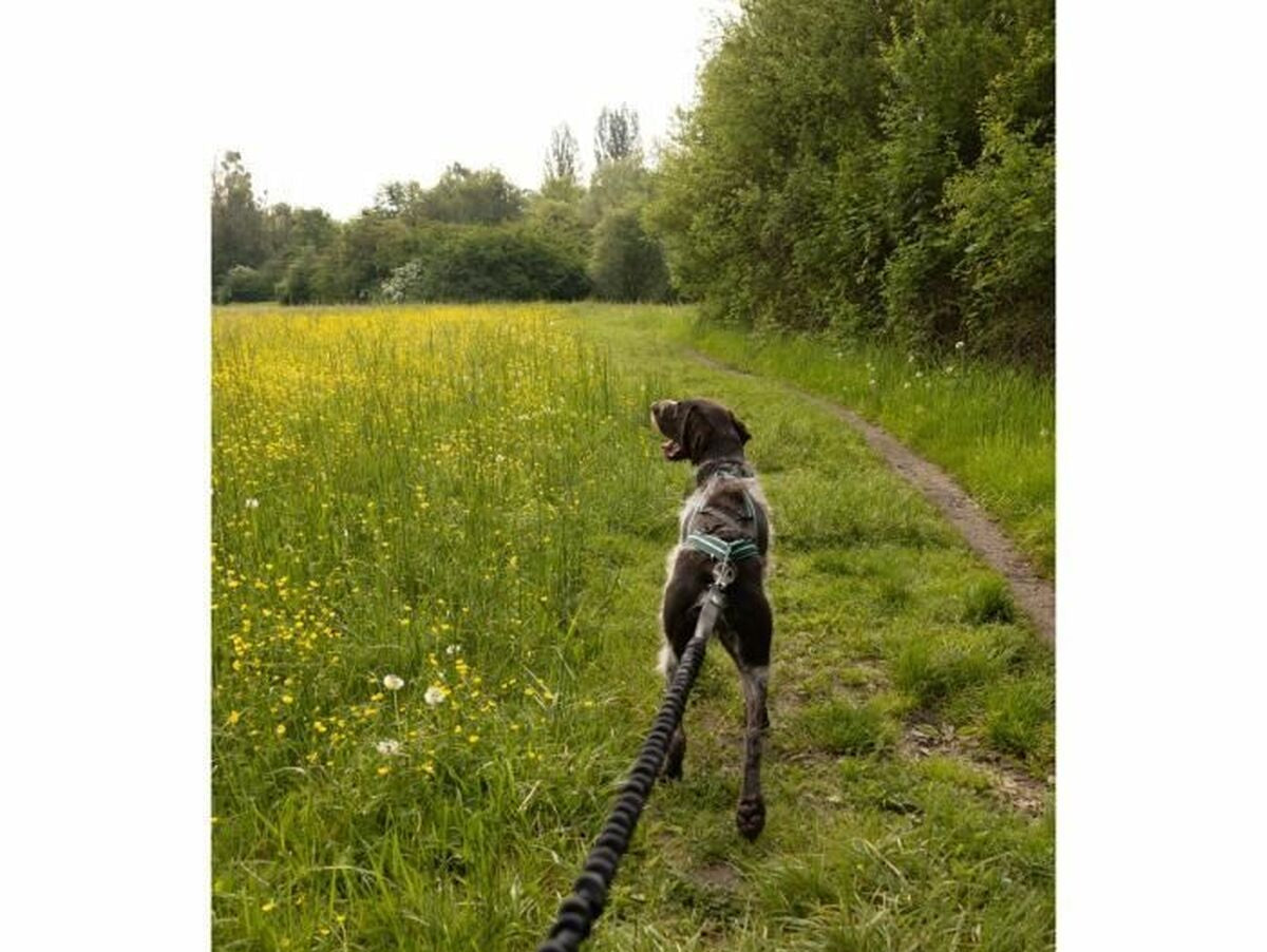 V5HB8F77DCAFCEA2CF58BA87220FDD50CF8R5776749P3