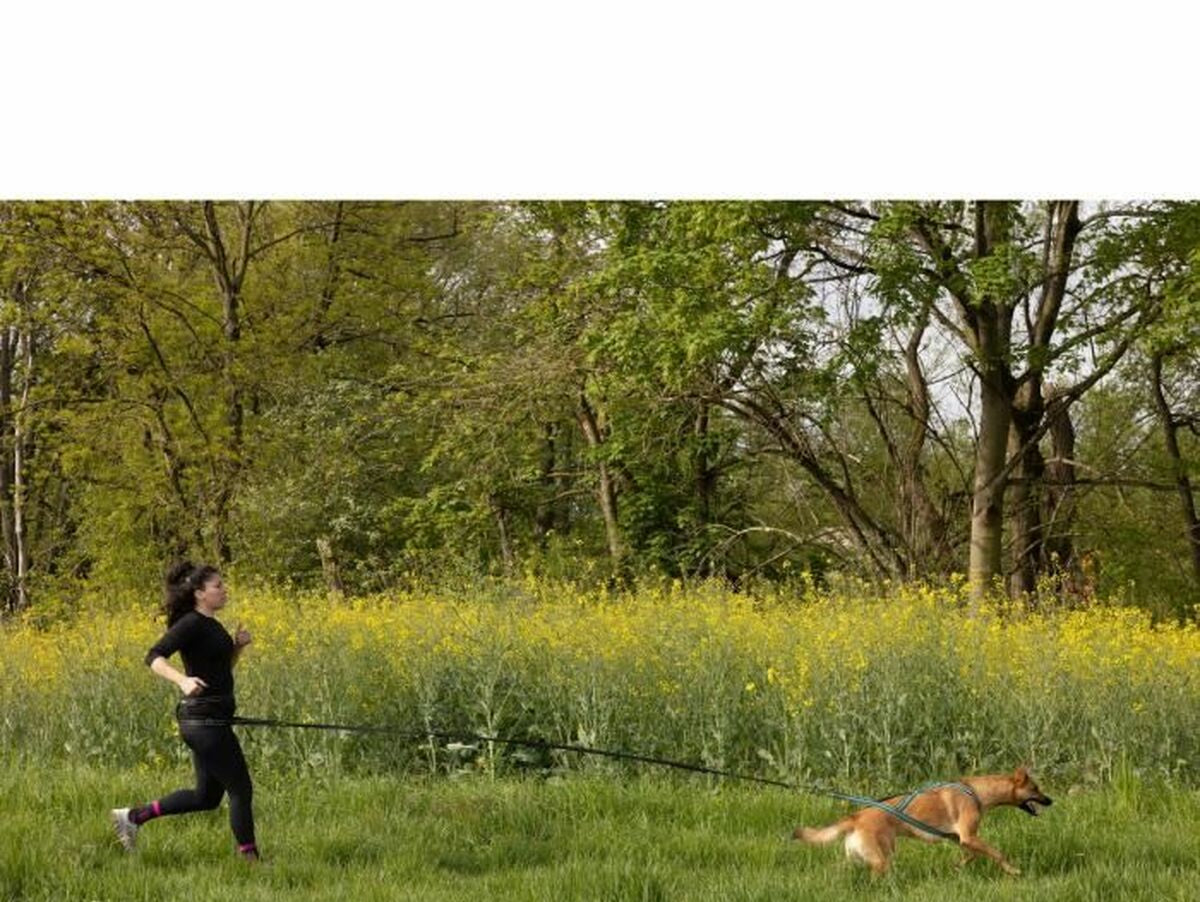 V5H9A52E60A54FA4E5AF8C3F9CF8D0387EFR5776752P5