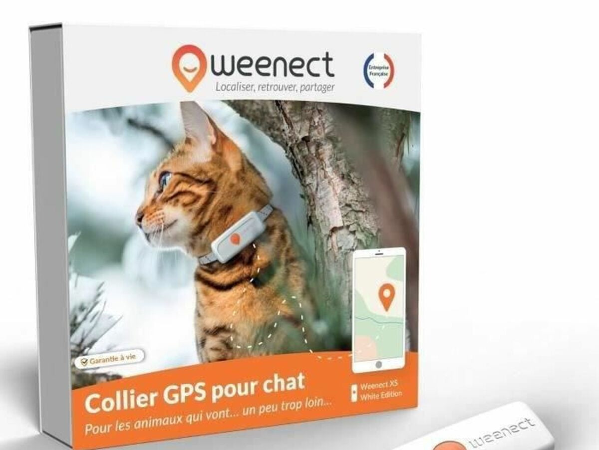 V9H4AAAF4602449620B7F5EE7644AD2AED8R7273382P1