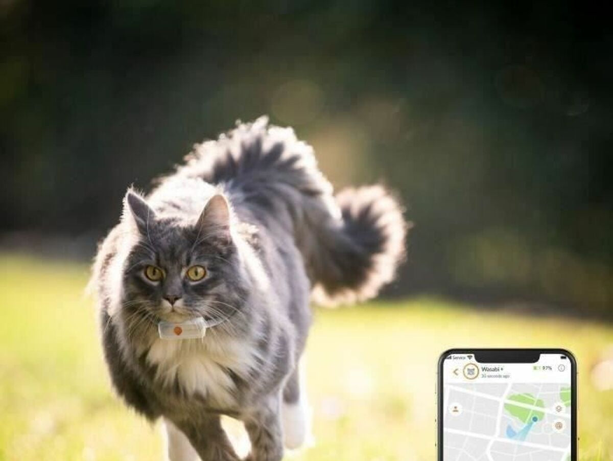 V9H5979DE0F89821C69DB10A201175E0102R7273385P4