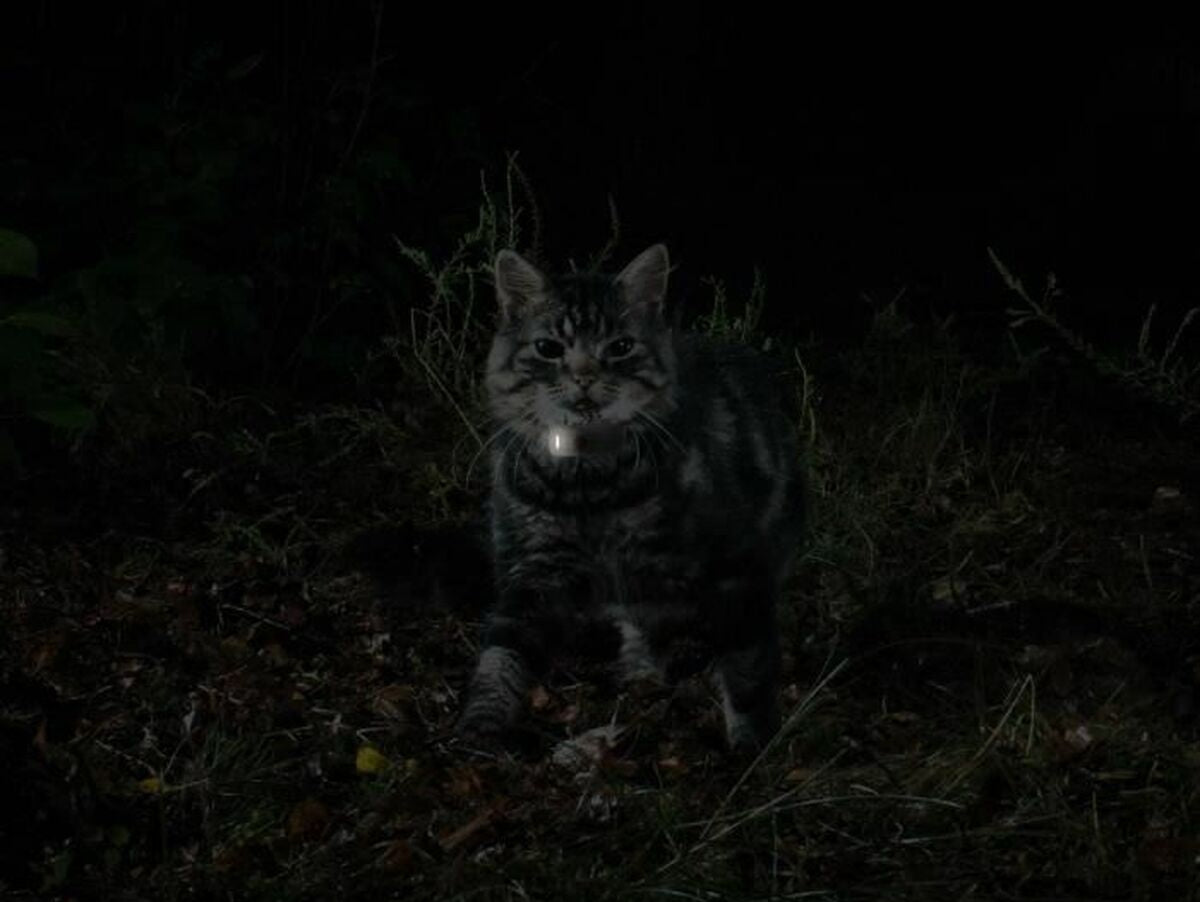 V9HA94C31FE276F8F8C005D91FA38441B7FR7273387P5