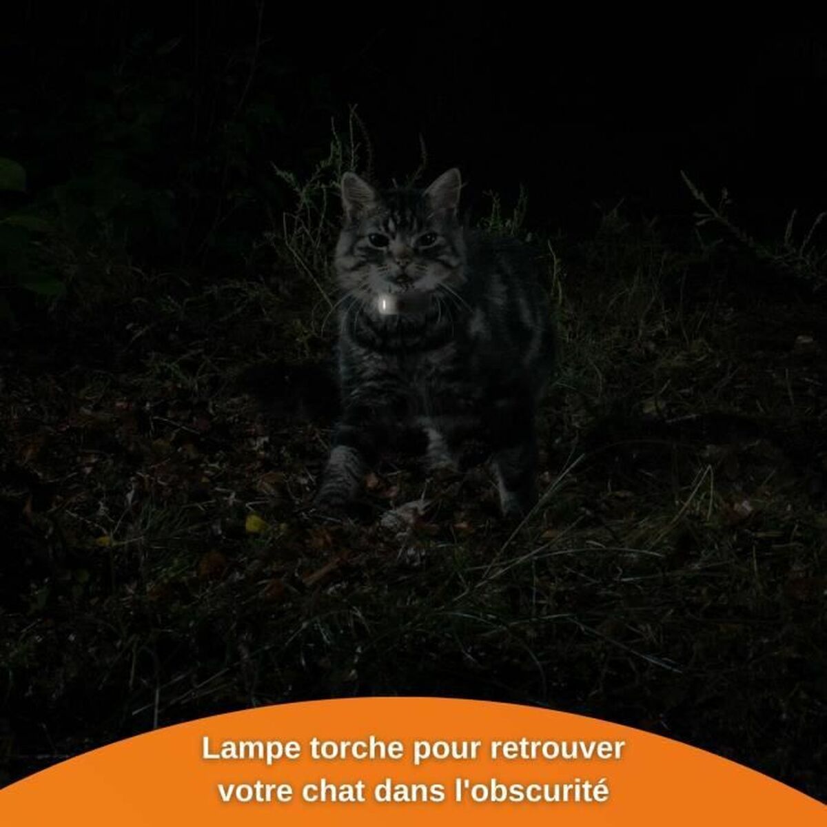 V9HA94C31FE276F8F8C005D91FA38441B7FR7273387P5