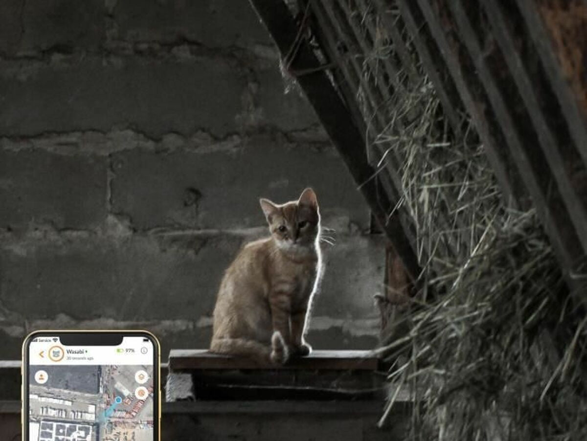 V9H4C9C6F4E6A5368392F430342981BF71ER7273389P6