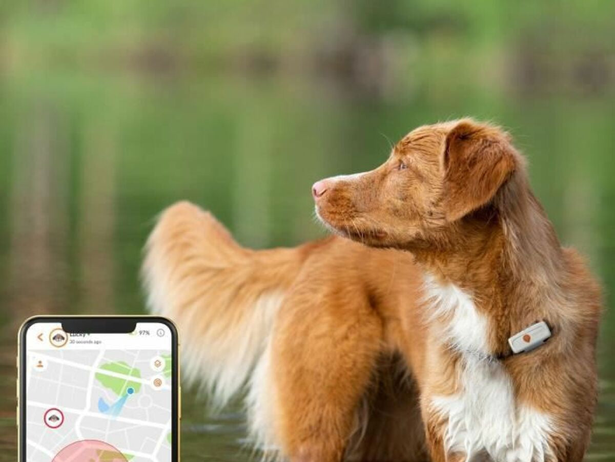 V7H0101DA01C891423BAFCF73CA1FEC22FAR4034641P4