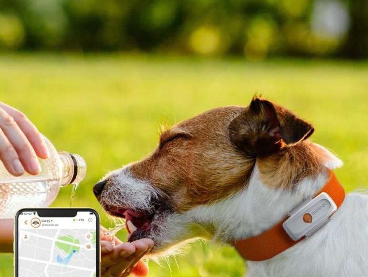 V7H76FE38B534C8021822BC976DA3ED0AD7R4034642P5