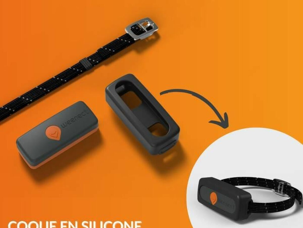 V9H87B660436B0A147CB19B96AAF1650979R7273377P2