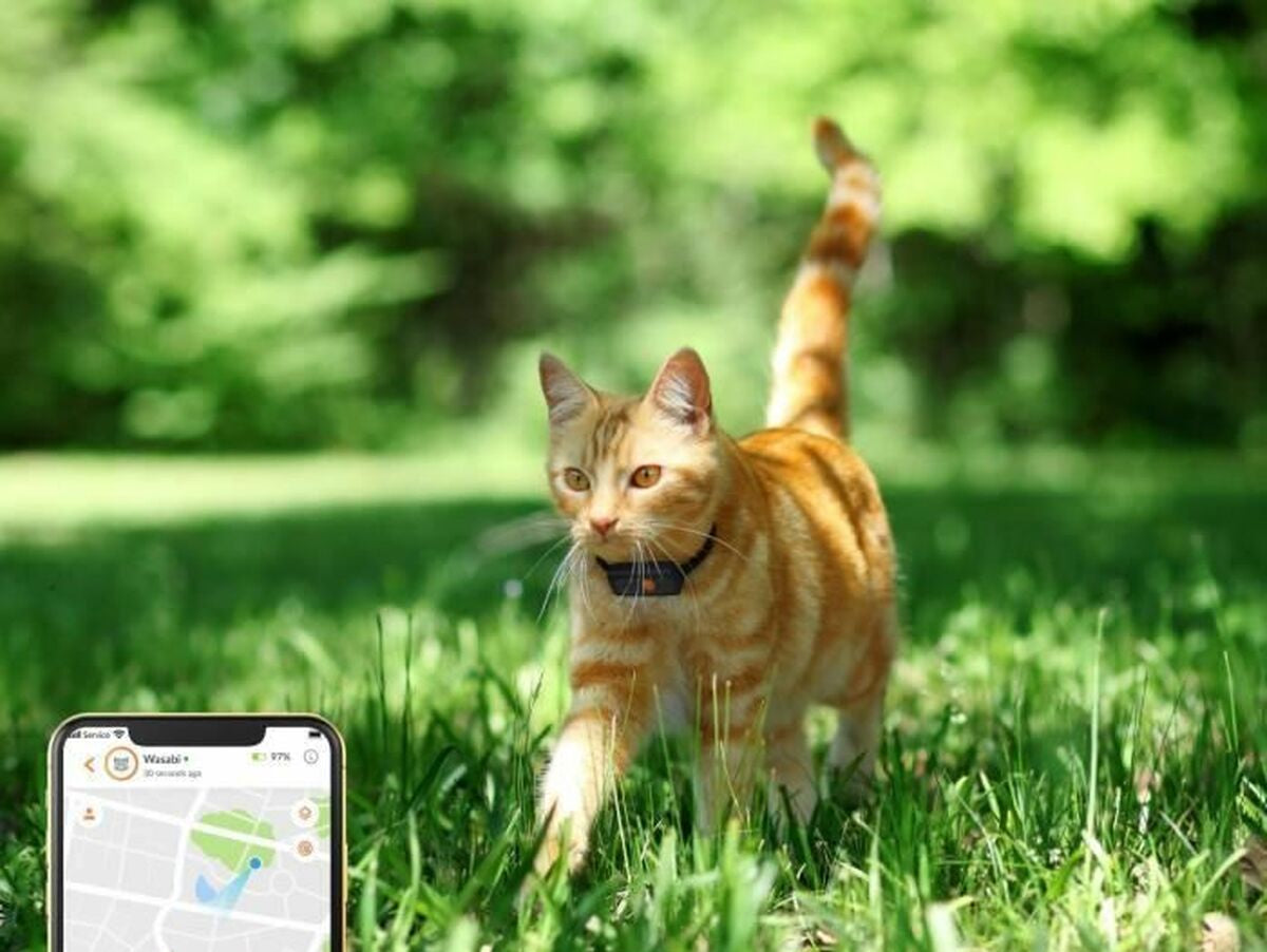 V9H88E3BAFD9369E291B4FDF73ECFA4DBE6R7273378P3