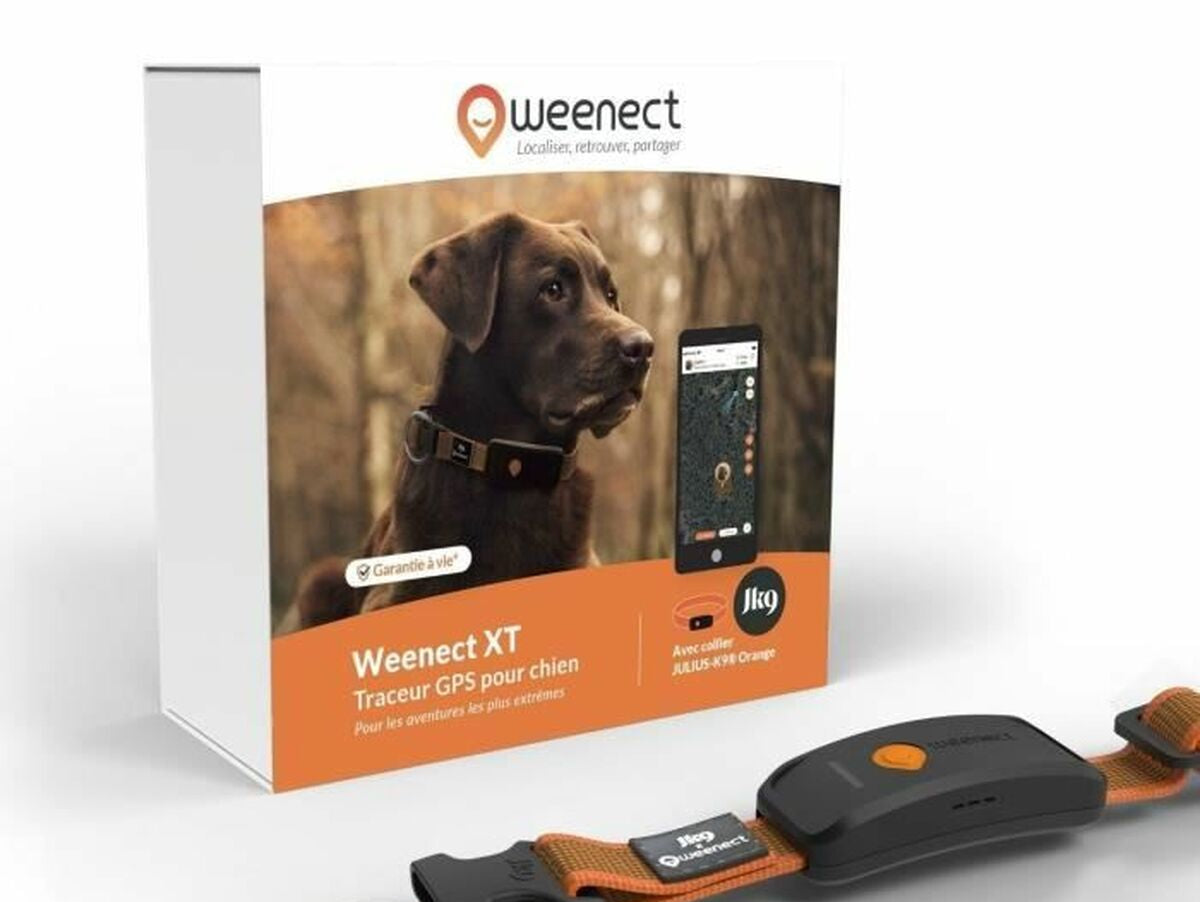 V5H902FA96E6ECDC5FBABB5A963CAAA9ED9R7273401P1