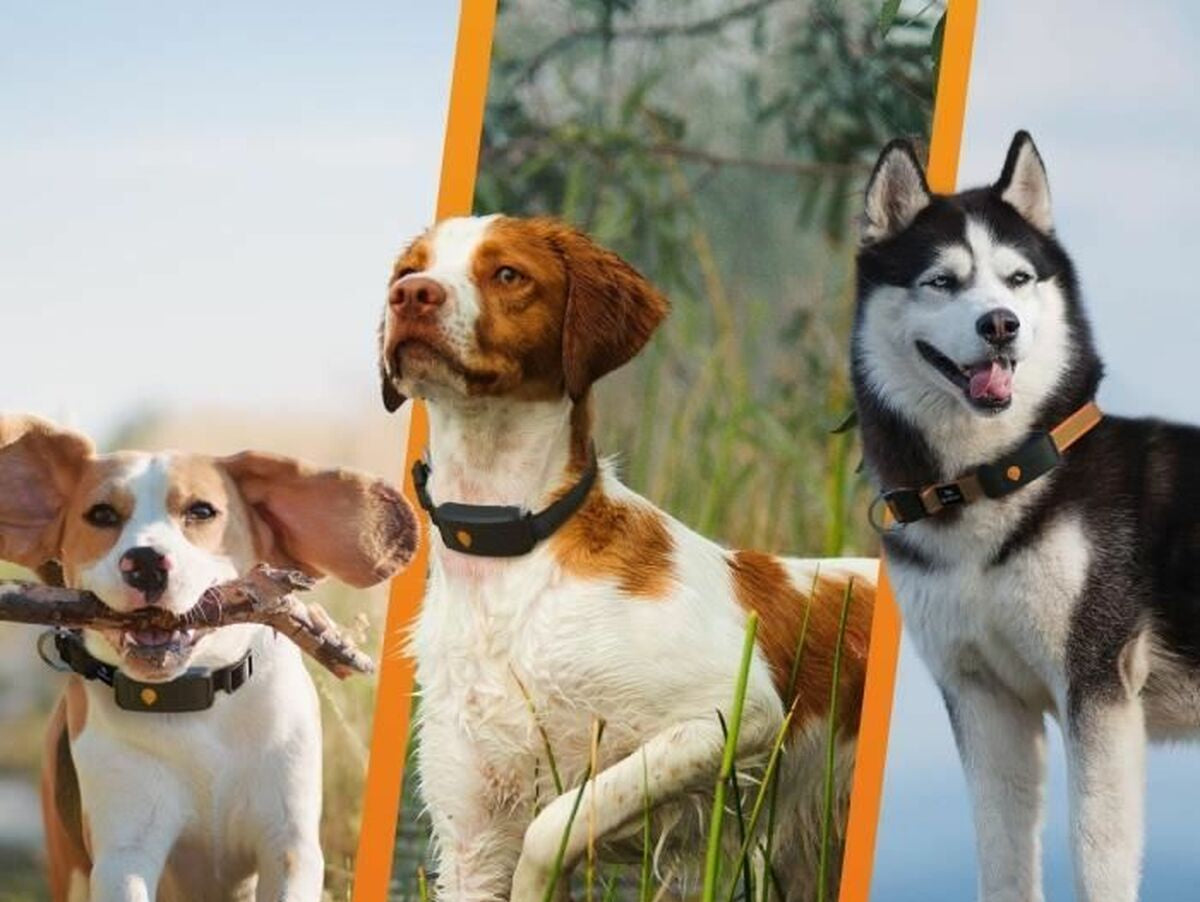 V5HA16124CACB78CA4D5A353AB28BFE35D7R7273425P6