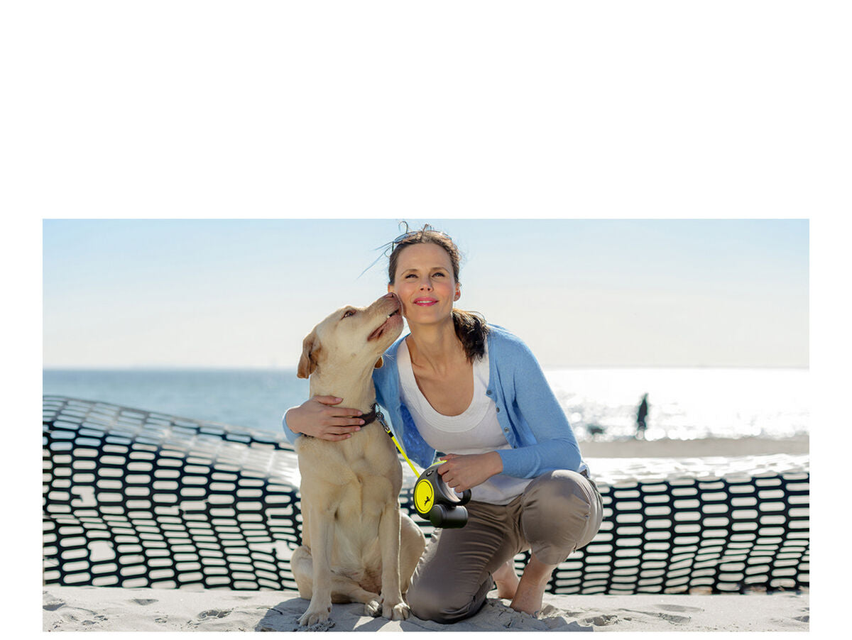 V11H6D1FDC43585D1F0E6C9365A8253E3AEFR5597768P3