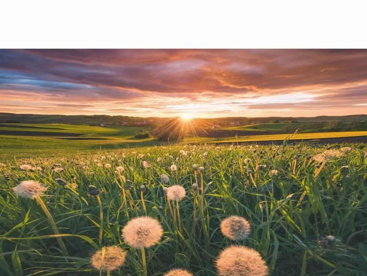 V7HBFD1D372DC9FC0CFF6A48B1291015242R7074099P2