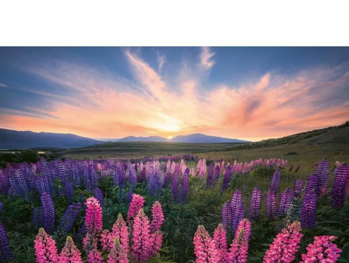 V7H9D8BBA4B21A680BD79A25E01C4D25CE7R7073954P2