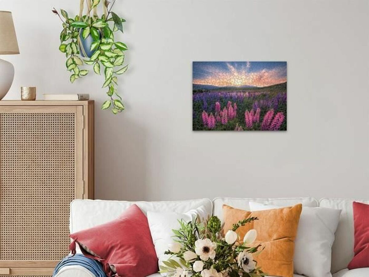 V7HFFA72D6EED461B8ADA4AB8EEE1E235D0R7073960P4