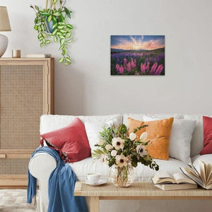 V5HFFA72D6EED461B8ADA4AB8EEE1E235D0R7073960P4