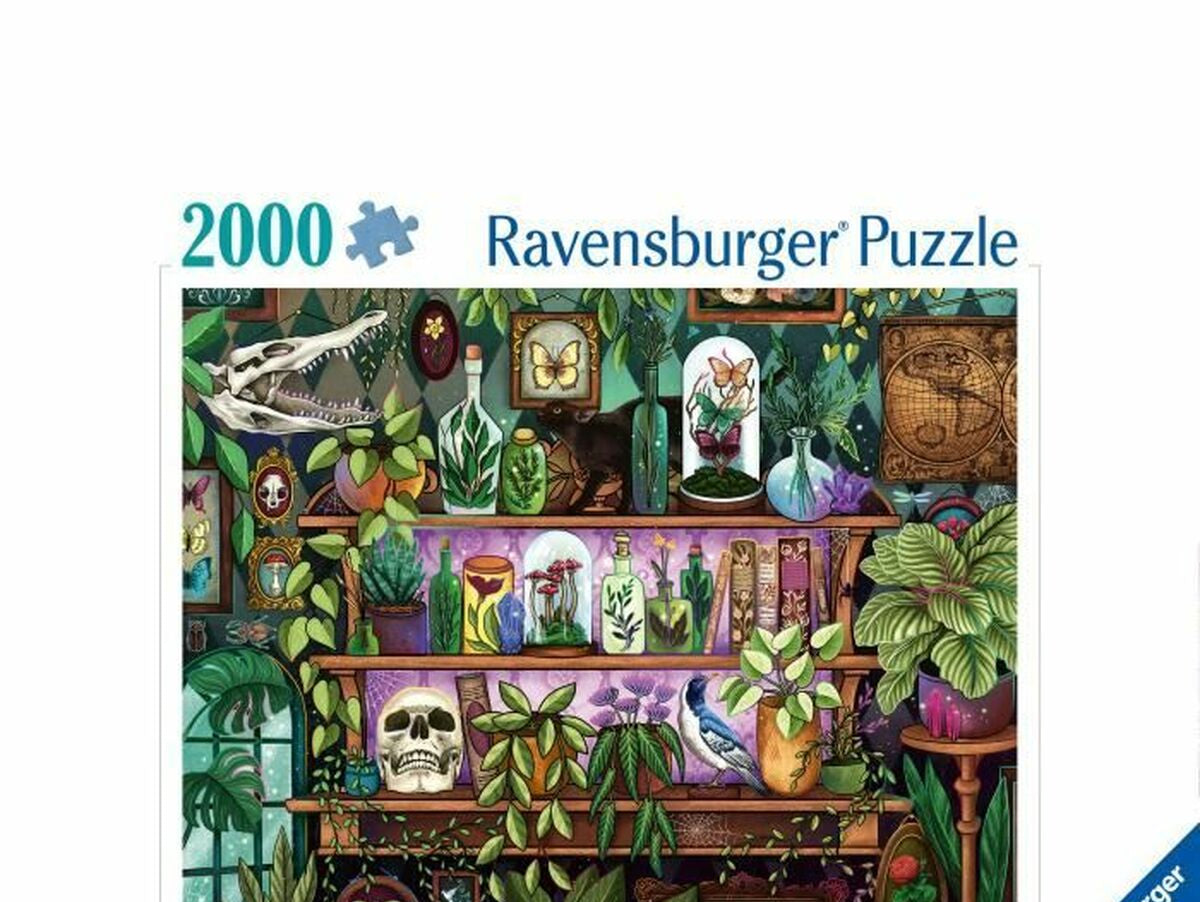 V5H8BF34B818D0F7C59B3D968E7FD1FD2A3R5803225P3