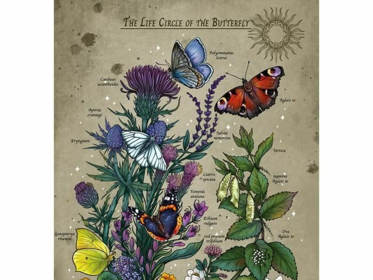 V2HD6081CE371E6ACD75E2D8E23D9EAC0E9R7091086P3