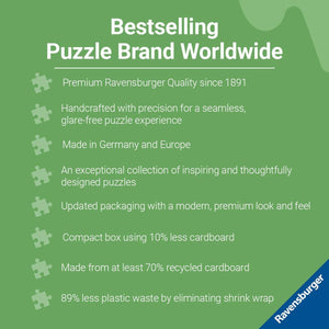 V2HC199D36CE171A05EE21359FE2539A1E9R7091131P6