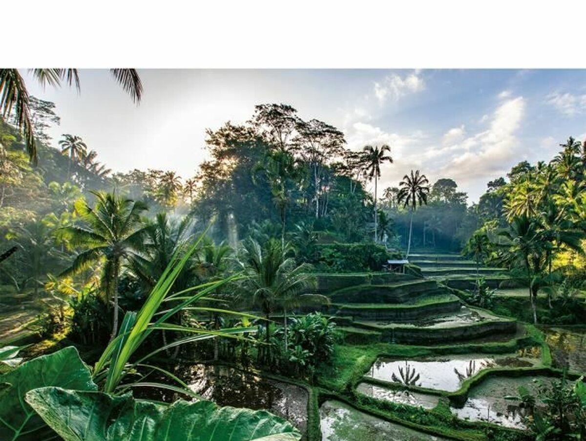 V6H1E990C8315EFF1A8017171EFF68D2394R6361699P2