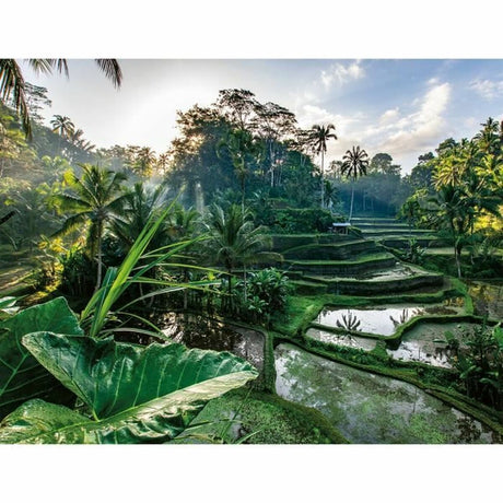 V6H1E990C8315EFF1A8017171EFF68D2394R6361699P2