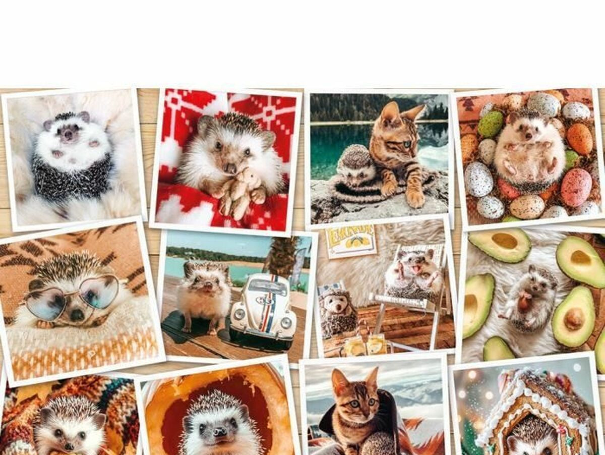 V2H2FBB03E7A7AA3009B758E690C8770414R7091027P2