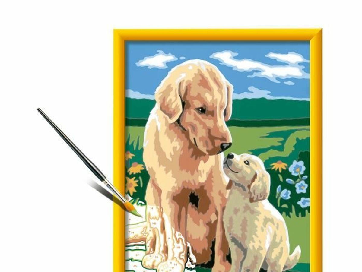 V5H29BB1B8E52709D6FB41C7FFF8CE1E04DR5782952P2