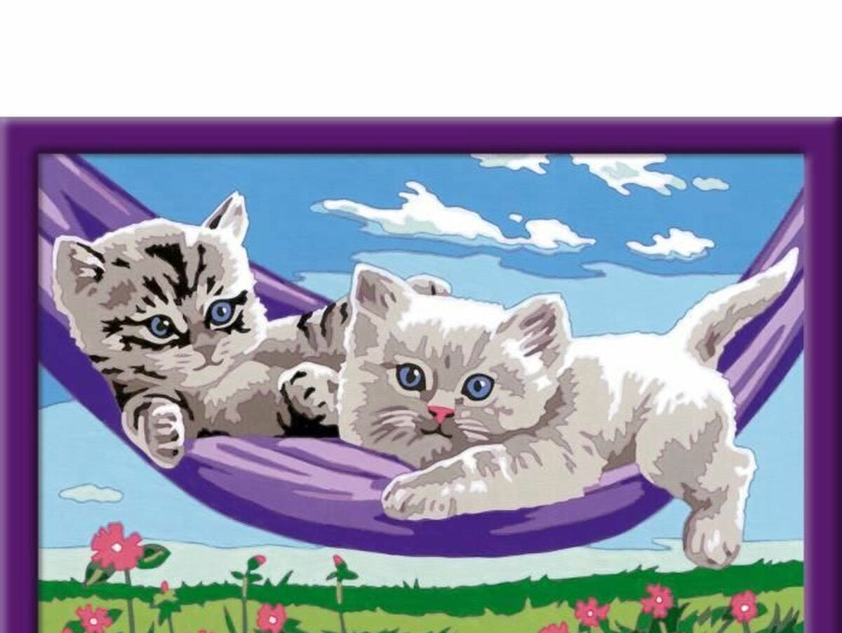 V5H61B3E608AEA2AB9882502E0A19D87B3CR5568849P3