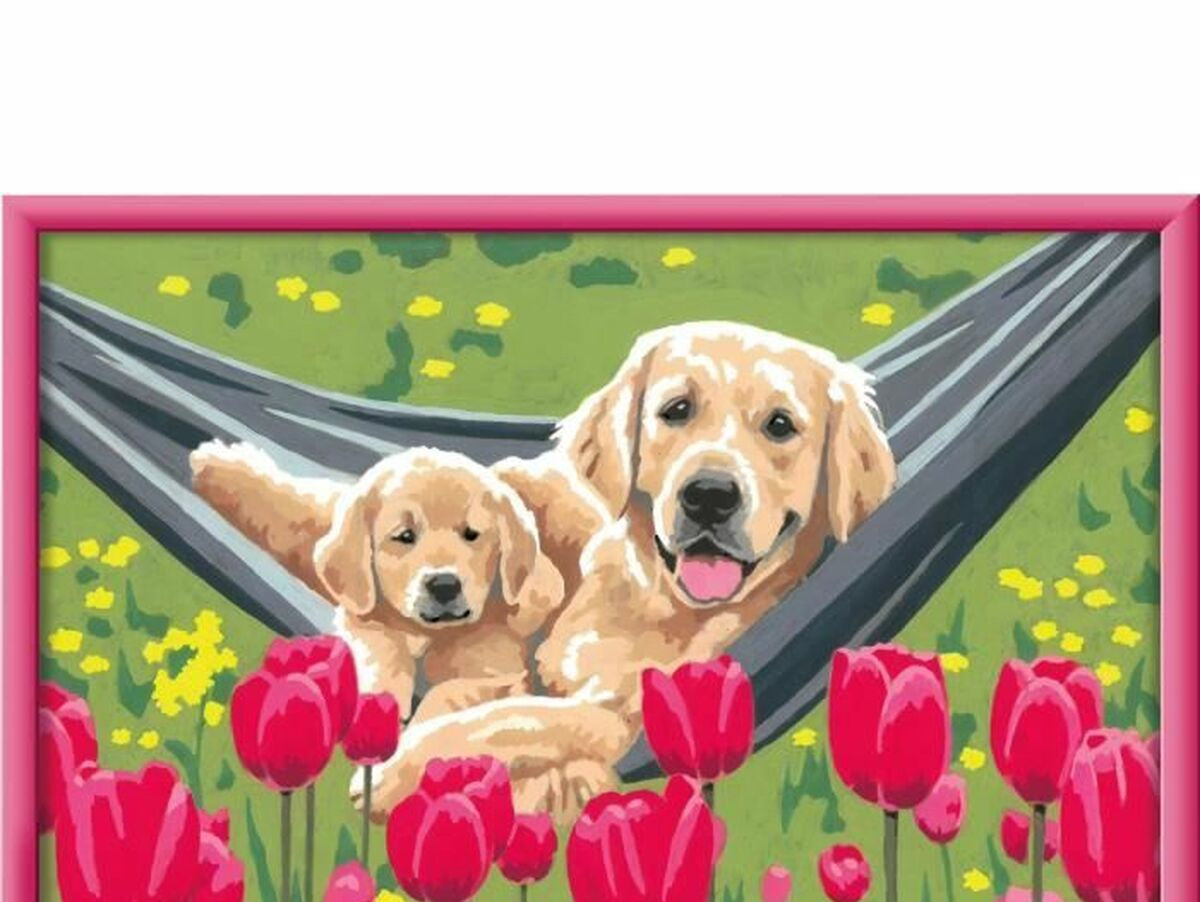 V5H3AEF44D1637E2EC8011FC59B32CBC42FR5570105P3