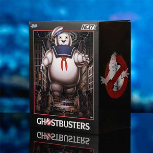 V2H134475FB801C2A167F7E621A6A5BF75ER7512763P7