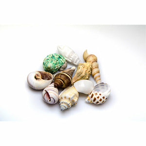 V8H07D9D7E9B25BD56DB3FE0A1EAF6ED6ECR7450831P2