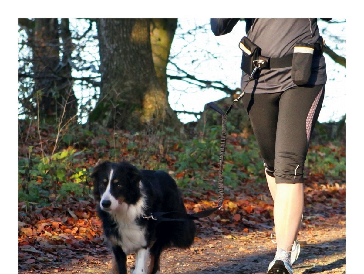 V7H0881DD7966D60C98A5877B9CD4A804AAR4034499P2