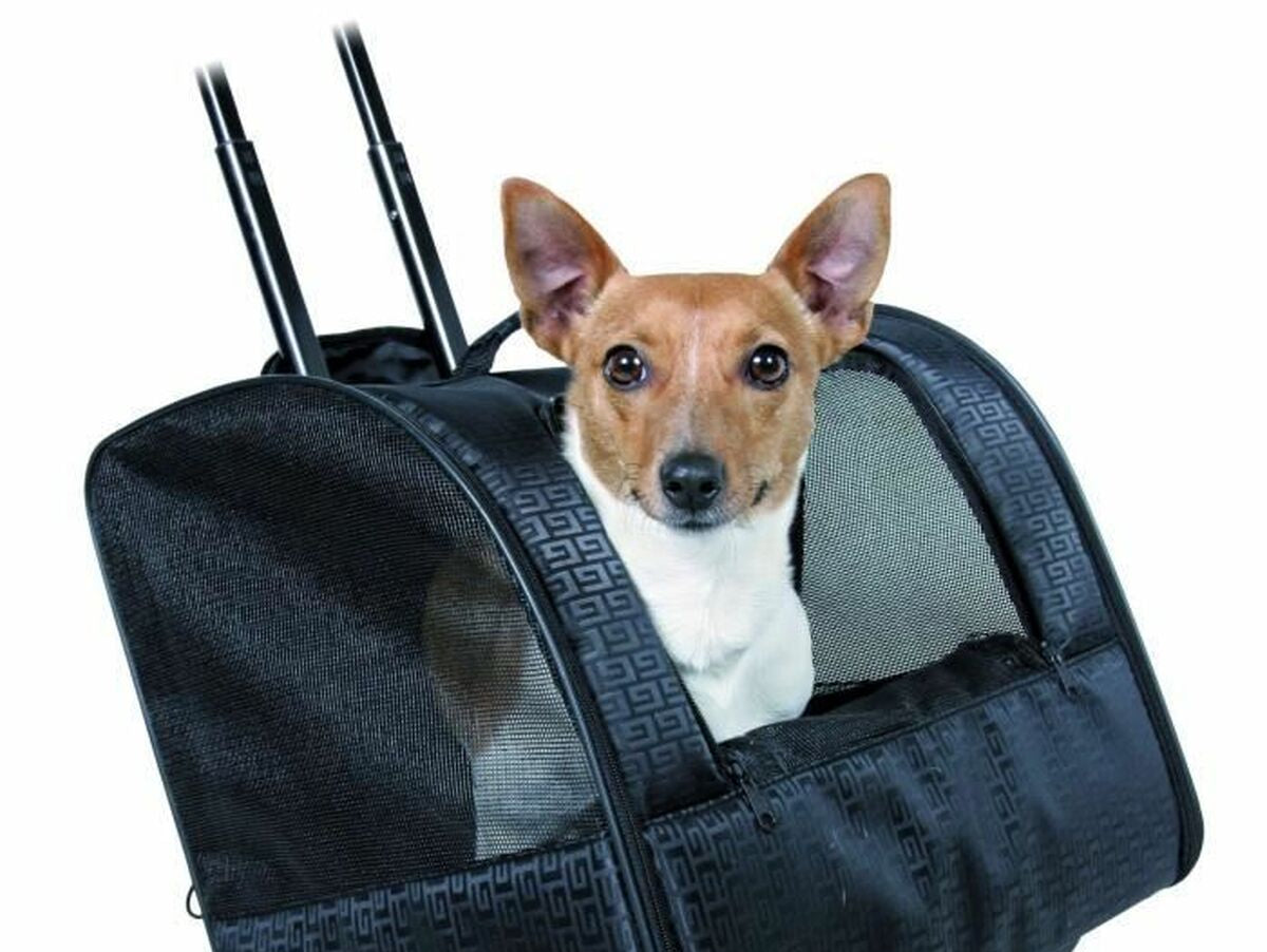 V10HC250D6BD05807A515B58BA9F3180C961R4268378P2