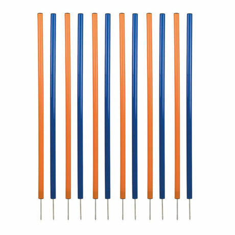 V3H0E1D33632766FA60CE1E5A698BCAF1E9R5763181P1