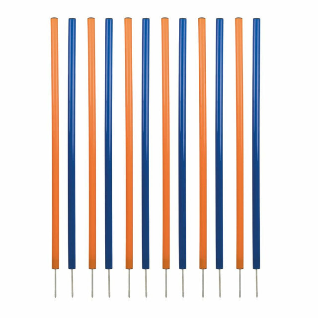 V3H0E1D33632766FA60CE1E5A698BCAF1E9R5763181P1