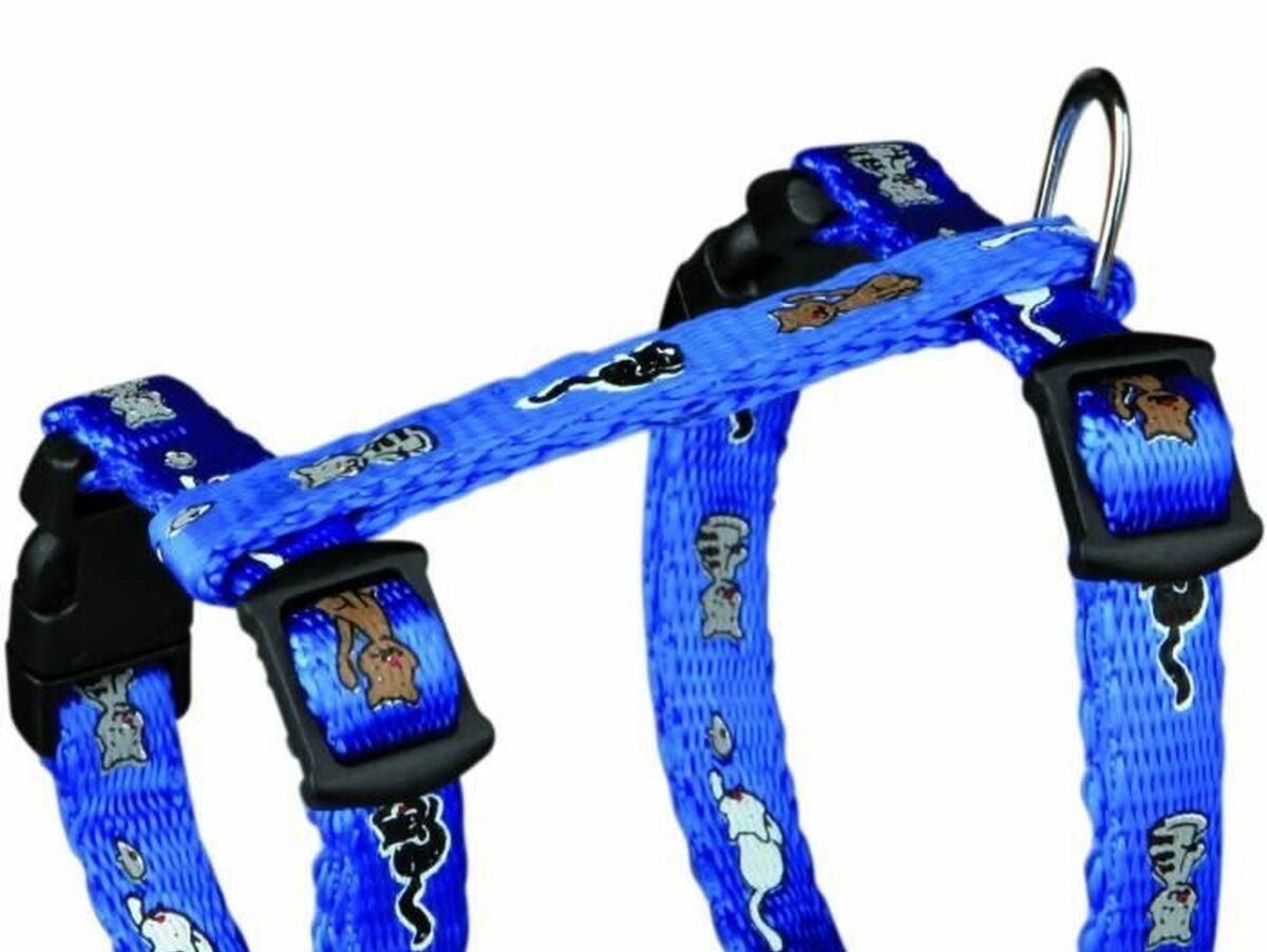 V4HC5585574FEA1310A14A4B45340FEE1ABR7233599P3