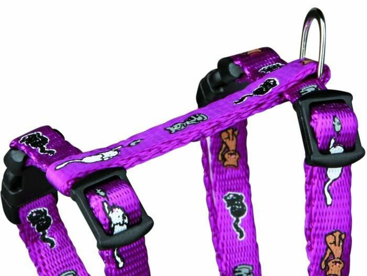 V4H7F5D1874C8DDD6FDDC09D360BC54195BR7233607P5