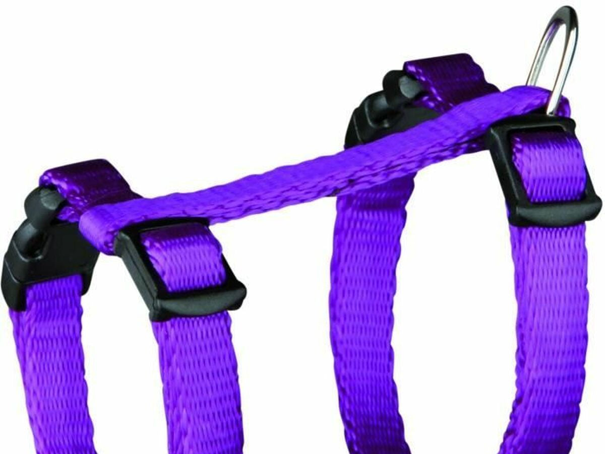 V4H1628F73ECC3CB321ECA266D261FF8C1BR7230718P6