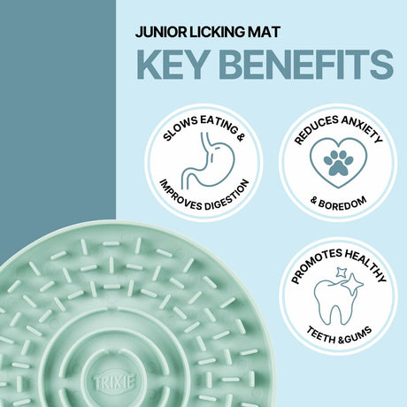 V3H1DC4C716888907323D1179139CD9BCEER5540376P4