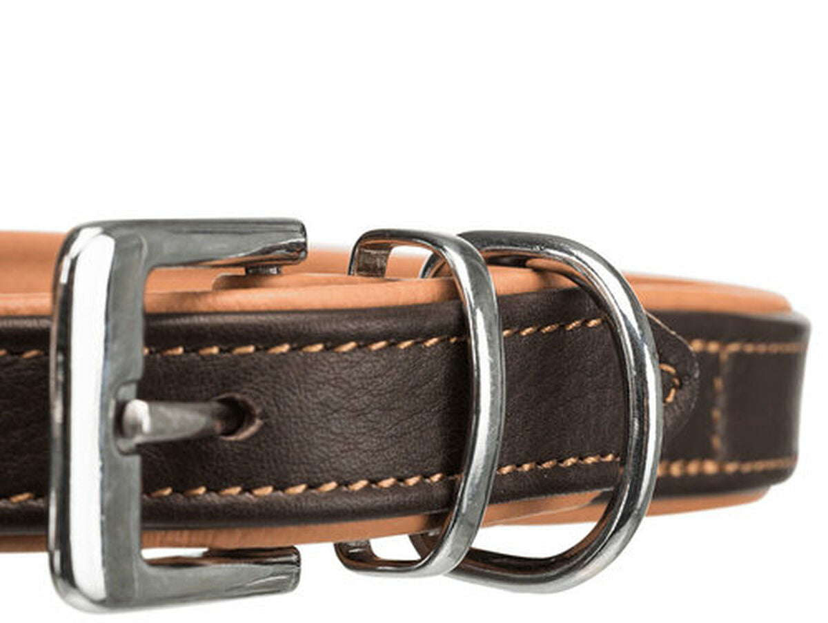 V7HBDA5A7C2F8087758AE476F02E5607D14R7451537P6