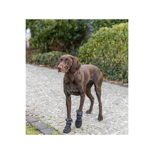 V5HBE8A30F5E4D60B58C62E232B743FF55CR7453457P7