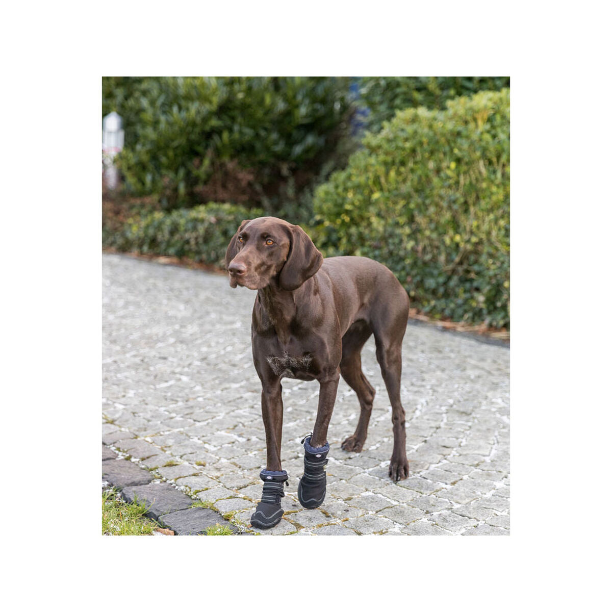 V5H1AF0A7A9876328EF2D3C70F5184F1410R7454756P7