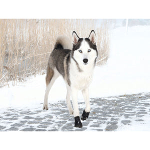 V3H0F025942EA9D19C1A67D7419D3CFA2F4R7439876P3